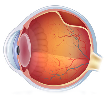 Desprendimiento de Retina